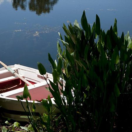 Herdades Da Frupor - Casas De Campo Brejao Kültér fotó